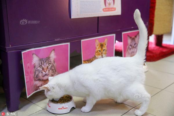 5月温氏肉猪饲养归纳本钱、牧原生猪本钱均在6.1元/斤左右