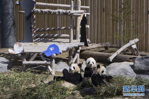 【绿帽子网站】鸟为什么会有气味