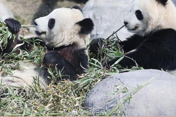 国泰海通证券：煤炭行业已充沛开释危险 后续上行可期