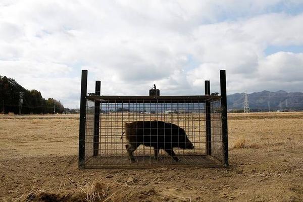 晋江市领导督导调研科创新区安顿房选房作业