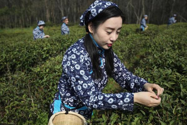 【每日大赛反差吃瓜爆料合集视频】树胶的作用