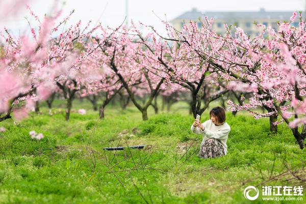 【51cg黑料】普京：俄赞同停火提议但许多细节仍待参议 或与特朗普直接沟通