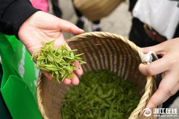 【51cg黑料】普京：俄赞同停火提议但许多细节仍待参议 或与特朗普直接沟通