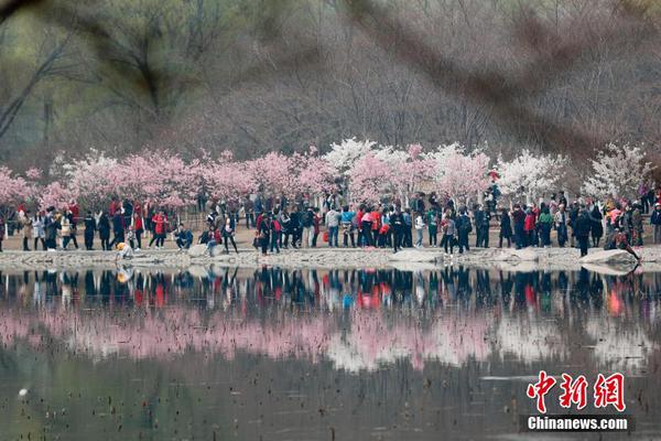 【www.黑料】什么是上市公司大股东股权价值的三级扩大？