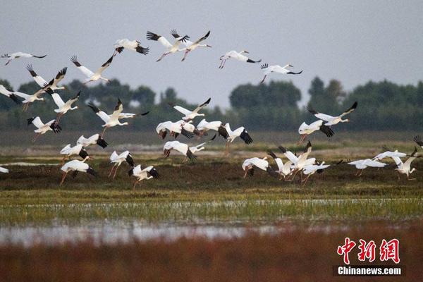 【黑料吃瓜】我买了一双巴黎世家什么梗