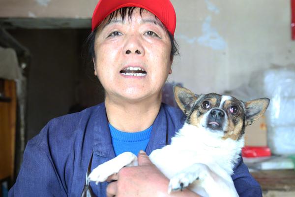 【吃瓜视频app官网下载苹果】前景张雷在我国开展高层论坛讲话：新能源将让文明到达新高度