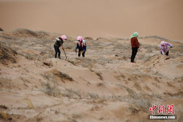 又到花粉过敏季 这些攻略请收好