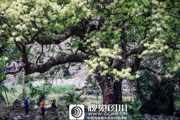 【黑料社区首页】国家发改委：鼓舞有条件的当地探究设置中小学春秋假
