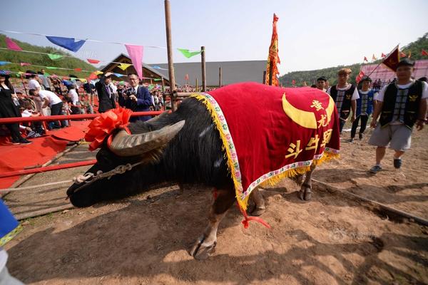 【黑料不打烊 吃瓜曝光】外交部：北京接见会面是中俄伊为推进伊朗核问题政治解决的有利测验