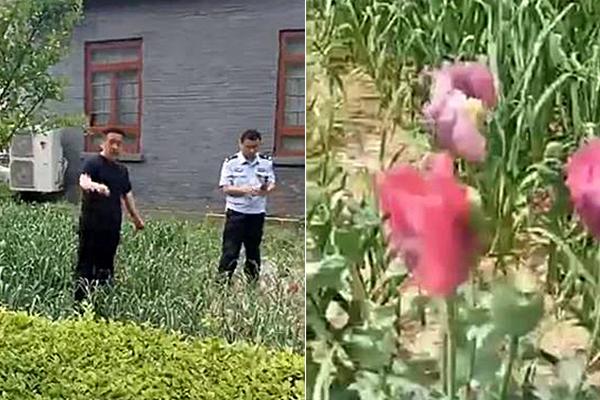 【51cg今日吃瓜热门大瓜必看大瓜】恒润重工两股东完结减持方案 累计减持份额0.47%