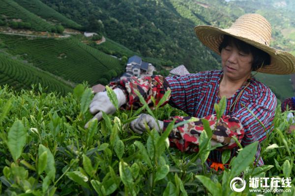 惠英红登杂志三月刊封面 黑色造型英俊十足！