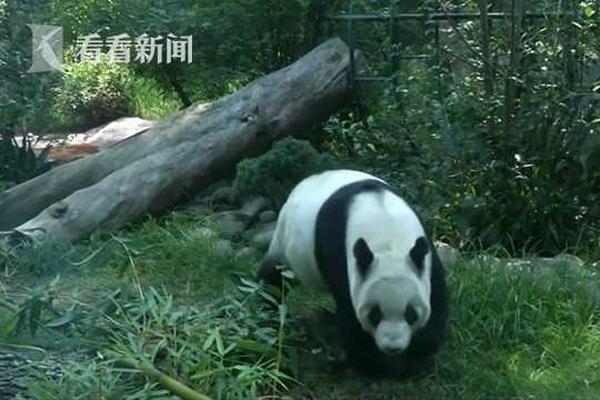 直播带货不能“美颜”过度