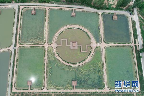 跨过3000多公里，他们从雪域高原来到东海之滨