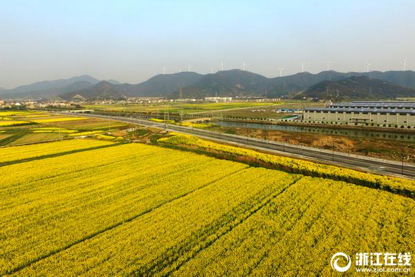 【91吃瓜在线黑料免费观看】赤色武乡走出旅行致富路