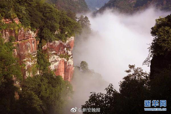 营收1158亿元 赢利115.39亿元 稳居亚洲乳业榜首 伊利股份耐性筑基 多维赋能敞开价值增加新篇
