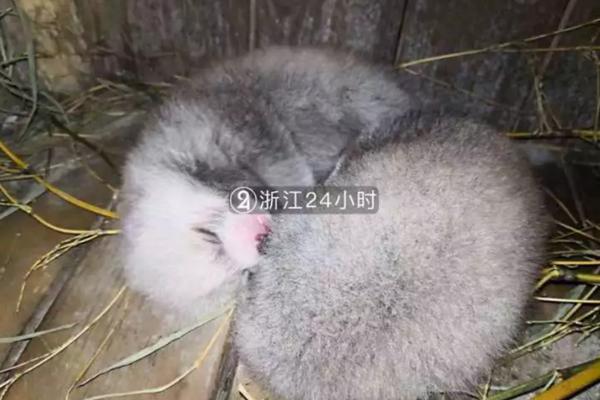 年轻人有必要把握的急救常识 避开九大生命圈套