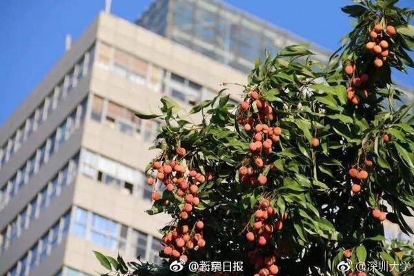 电动自行车新国标9月1日落地 第一批6家检测组织出炉