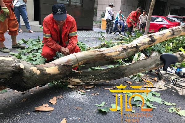 【17c吃瓜爆料免费吃瓜在线】汤景泰：当中美网民开端“赛博对账”