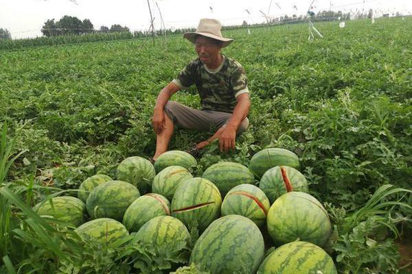 【51吃瓜app可以下载吗】北交所2024年年报发表启幕：三公司首先交卷 拟派数千万现金“红包”