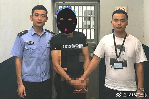 【黑料吃瓜下载】废光伏设备收回处理拟出台国家标准 专家：将有力促进组件收回职业的正规化开展