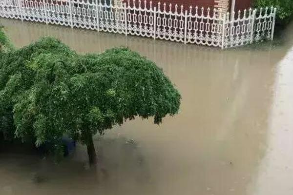 【911爆料网，51一91吃瓜网】什么叫脑空梗