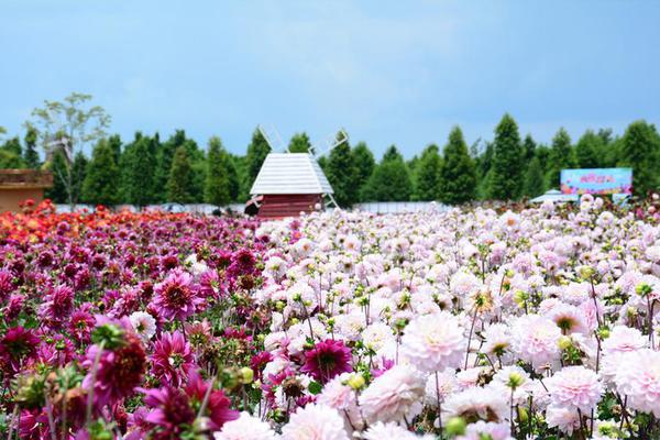 中信证券：继续看好物业和商管服务板块的盈利价值