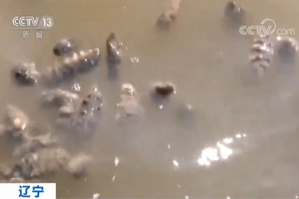 漳州古雷开发区政务服务中心：首台营业执照自助打照机正式启用