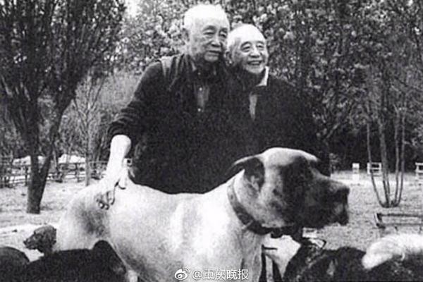【黑网料】税收数据显现：2024年“小伟人”企业高质量开展继续推动