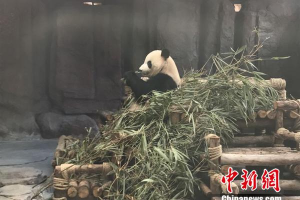 用姑苏评弹叙述我国故事