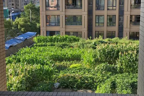 判赔8000多万元！抖音副总裁回应；蔡崇信承认阿里与苹果协作；突发！停止兼并；网络反常无法买卖？富途：已修正；巴菲特再度出手