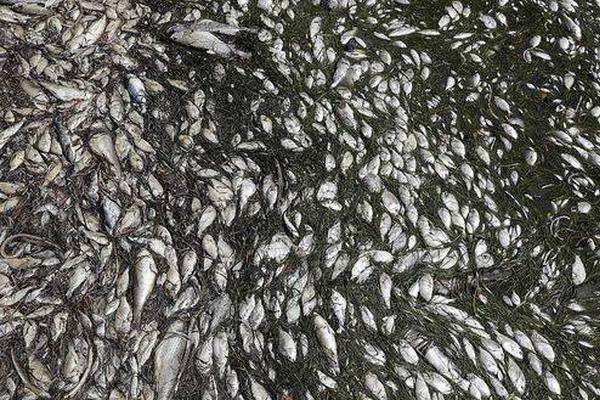 【黑料网永久地址】开辟国货潮品新空间