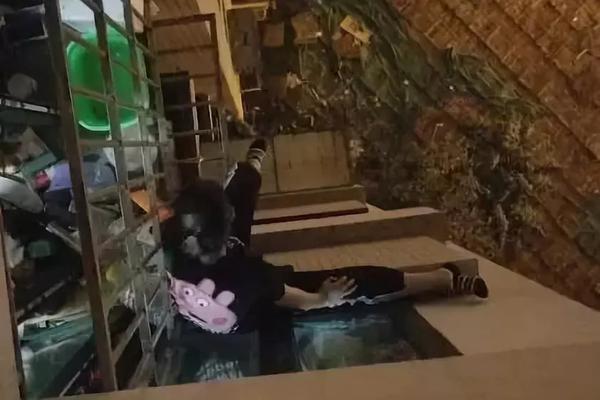 【瓜群】荷花叶有什么功效和作用