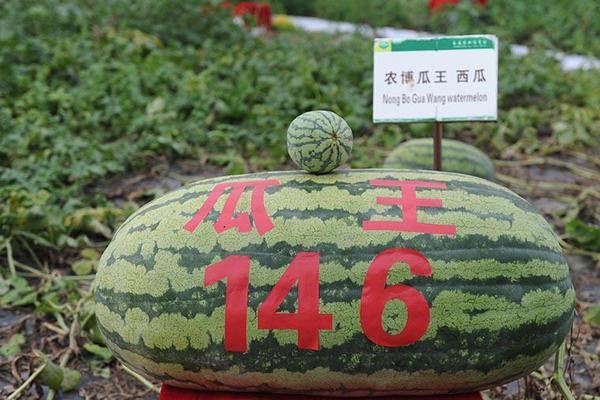 【吃瓜网】逾千家上市公司发布2024年年报 近六成公司业绩同比增加