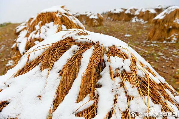 自傲教育在这所农民工子弟学校开花