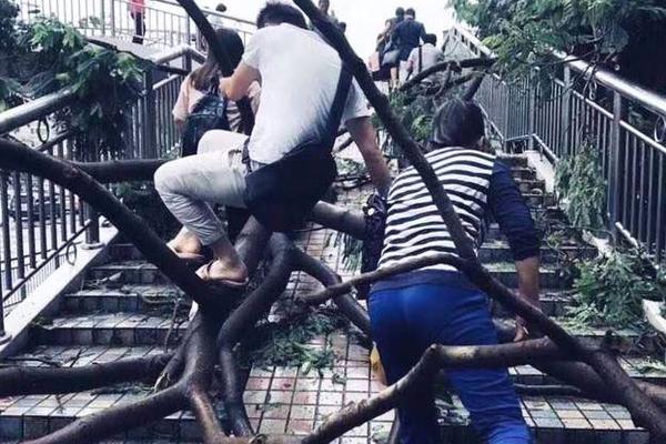 【吃瓜网166su黑料不打烊】【研报掘金】组织：AI在游戏工业化研制链路的浸透继续