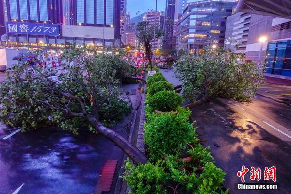 本轮巴以抵触已致加沙地带51240人逝世