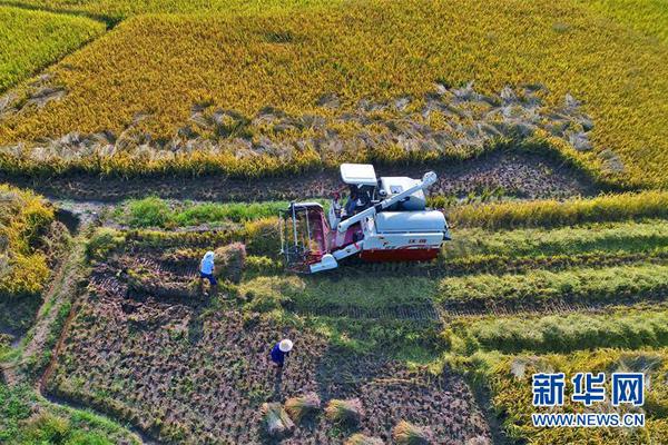 【黑料不打烊网页版入口】2024年我国新能源轿车产销量均超1200万辆