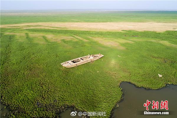 【51吃瓜老虎菜】榜首创业：存储芯片提价引发需求复苏 职业景气量提高显着