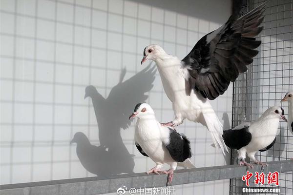 【黑料社区在线观看吃瓜视频】薏米可以和绿豆一起煮吗
