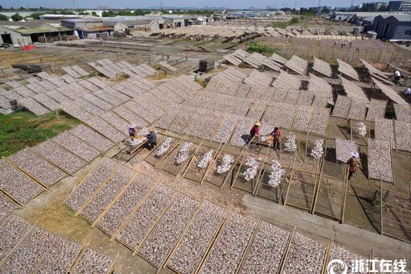沪指收涨0.13% 大消费体现抢眼