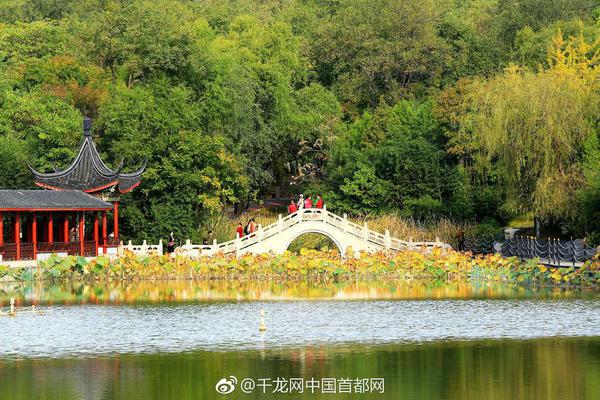 根际“隐形军团”奥秘面纱被揭开