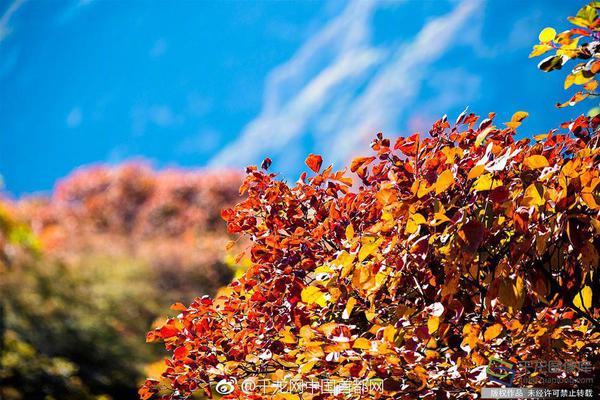 【黑料最新官网地址】东方财富网关于展开“明亮清明浦江·网络直播范畴虚伪和低俗乱象整治”专项举动的公告