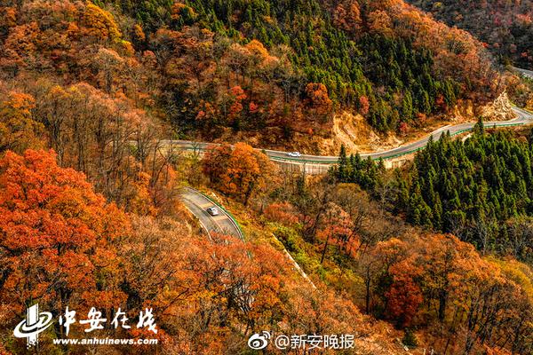 【我要吃瓜网】多家上市公司获子公司现金分红