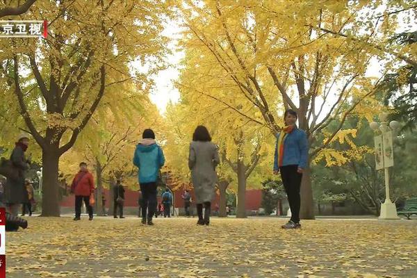 国家统计局：房地产商场连续上年四季度以来回稳态势