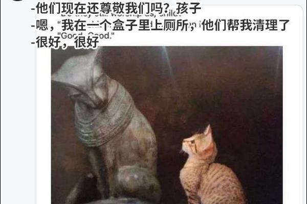 12星座解码女人出资性情，不同年龄段也有不同装备需求