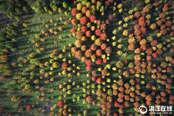 【吃瓜-反差大赛-每日大赛10月20】举世圆桌对话：稀土缘何成为全球“最抢手”资源