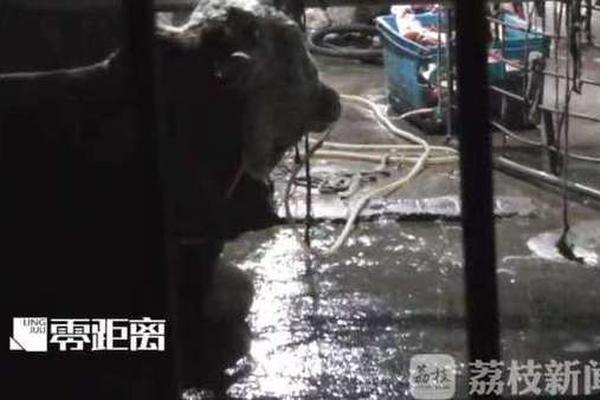 【91吃瓜在线观看】证券基金保险公司交换便当终究有何用？