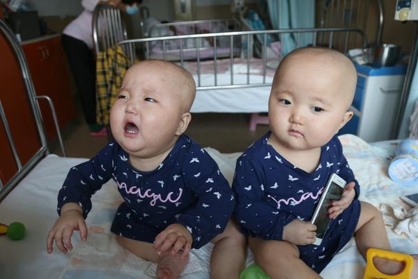 杨德龙：这轮科技牛行情有深入逻辑 坚定信念才干掌握时机