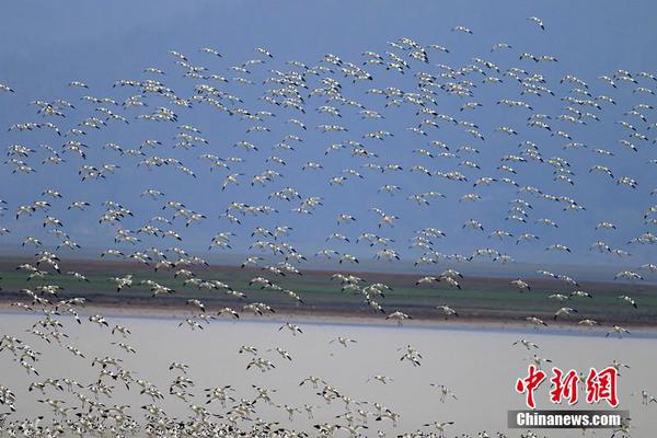 文明立异：跨过时空的对话