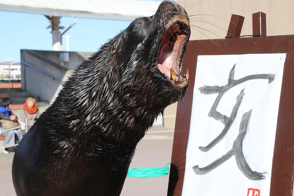 【黑料吃瓜热门吃瓜】上海企业拿下具身智能最大天使轮融资 中心团队为何来自智驾？